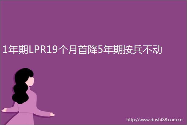 1年期LPR19个月首降5年期按兵不动