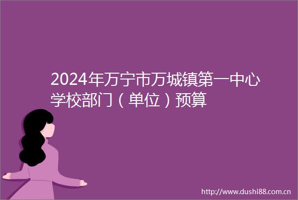 2024年万宁市万城镇第一中心学校部门（单位）预算