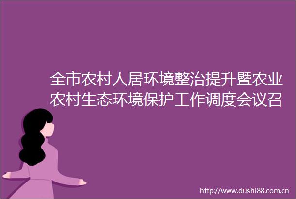 全市农村人居环境整治提升暨农业农村生态环境保护工作调度会议召开