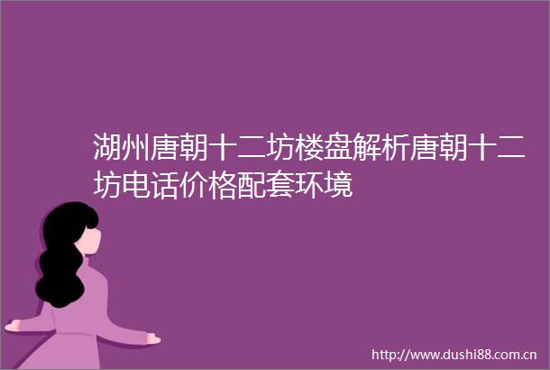 湖州唐朝十二坊楼盘解析唐朝十二坊电话价格配套环境