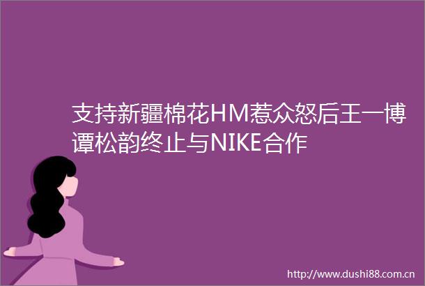 支持新疆棉花HM惹众怒后王一博谭松韵终止与NIKE合作
