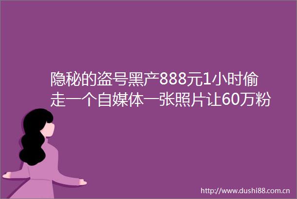 隐秘的盗号黑产888元1小时偷走一个自媒体一张照片让60万粉财经号易主