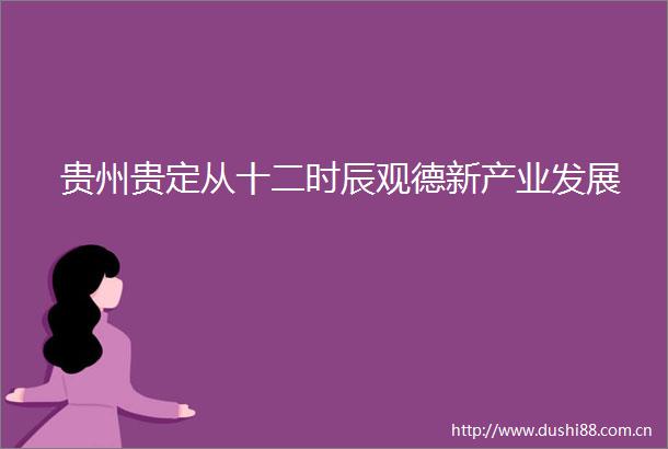 贵州贵定从十二时辰观德新产业发展