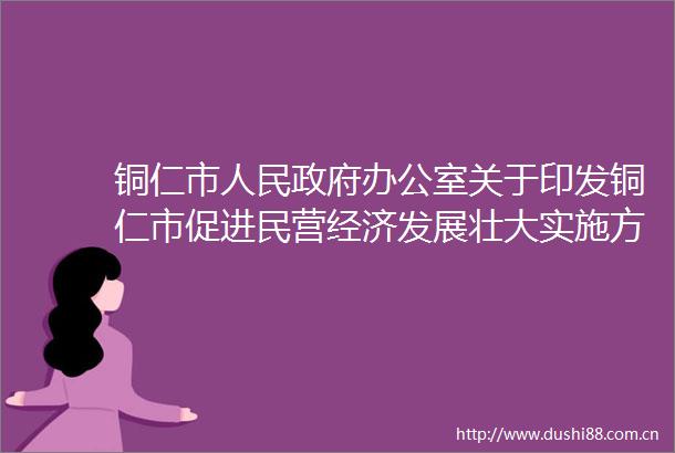 铜仁市办公室关于印发铜仁市促进民营经济发展壮大实施方案的通知（铜府办发〔2024〕9号）