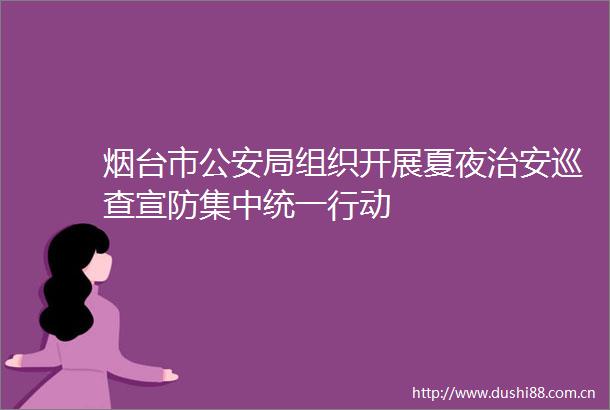 烟台市局组织开展夏夜治安巡查宣防集中统一行动