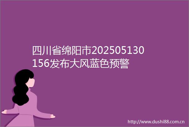 四川省绵阳市202505130156发布大风蓝色预警