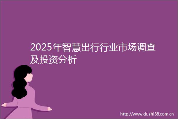 2025年智慧出行行业市场调查及投资分析