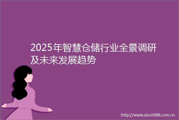 2025年智慧仓储行业全景调研及未来发展趋势