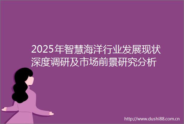 2025年智慧海洋行业发展现状深度调研及市场前景研究分析