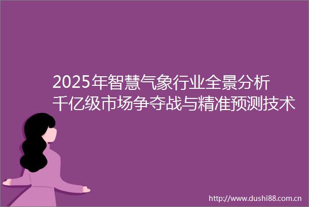 2025年智慧气象行业全景分析千亿级市场争夺战与精准预测技术