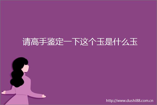 请高手鉴定一下这个玉是什么玉
