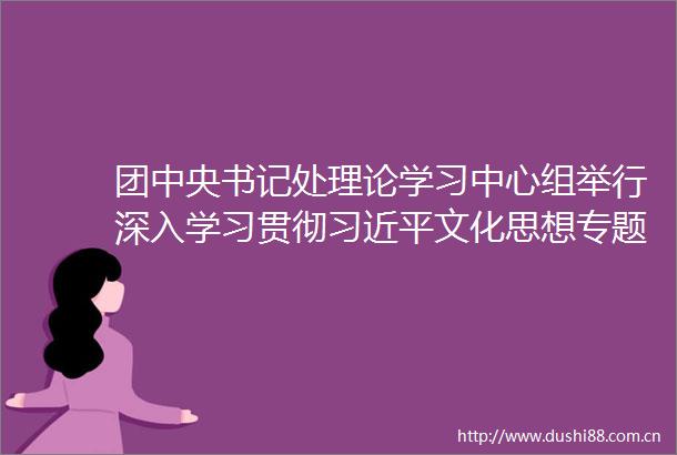 团中央书记处理论学习中心组举行深入学习贯彻文化思想专题学习