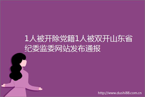 1人被开除党籍1人被双开山东省纪委监委网站发布通报