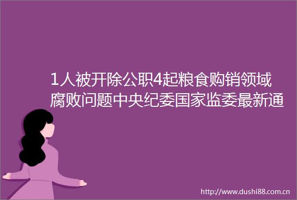 1人被开除4起粮食购销领域问题中央纪委监委最新通报