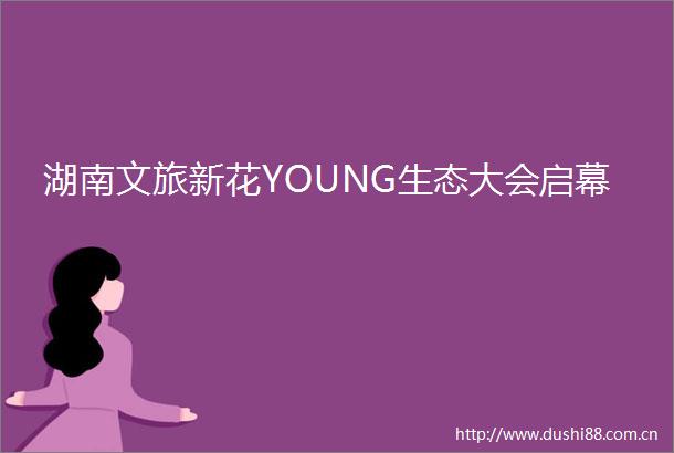 湖南文旅新花YOUNG生态大会启幕