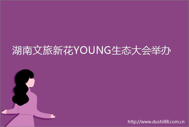 湖南文旅新花YOUNG生态大会举办