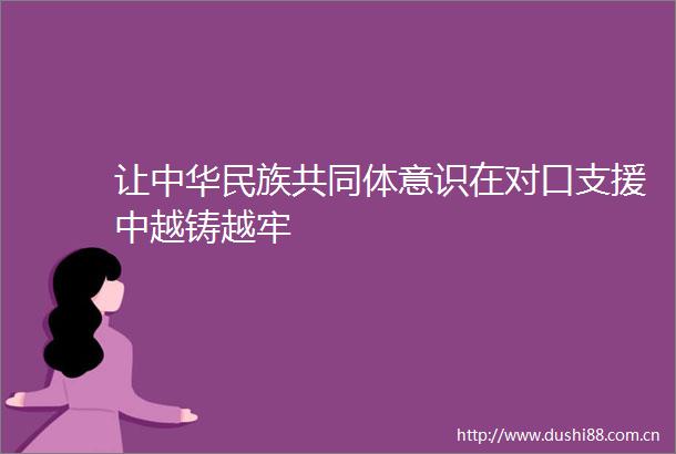 让中华民族共同体意识在对口支援中越铸越牢