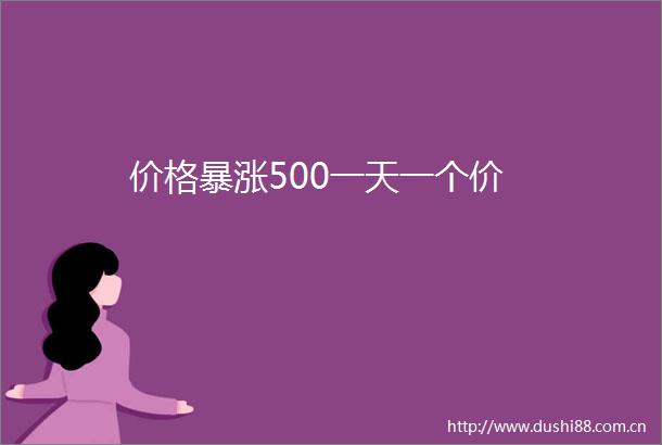价格暴涨500一天一个价