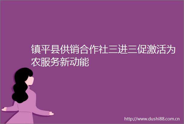 镇平县供销合作社三进三促激活为农服务新动能