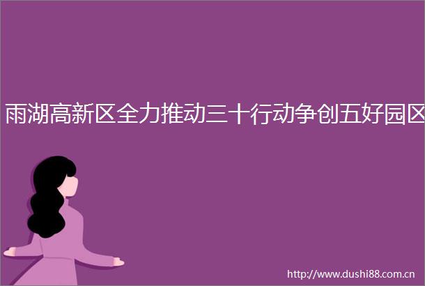 雨湖高新区全力推动三十行动争创五好园区