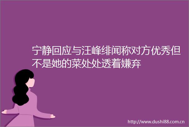宁静回应与汪峰绯闻称对方优秀但不是她的菜处处透着嫌弃