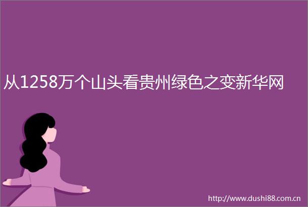 从1258万个山头看贵州绿色之变新华网