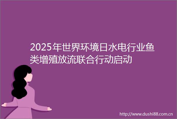 2025年世界环境日水电行业鱼类增殖放流联合行动启动