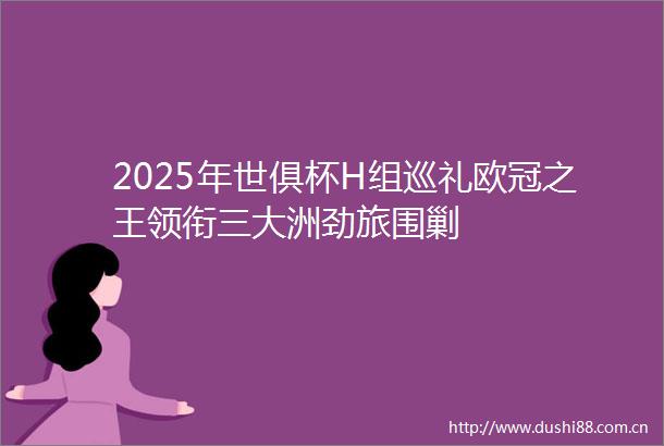 2025年世俱杯H组巡礼欧冠之王领衔三大洲劲旅围剿