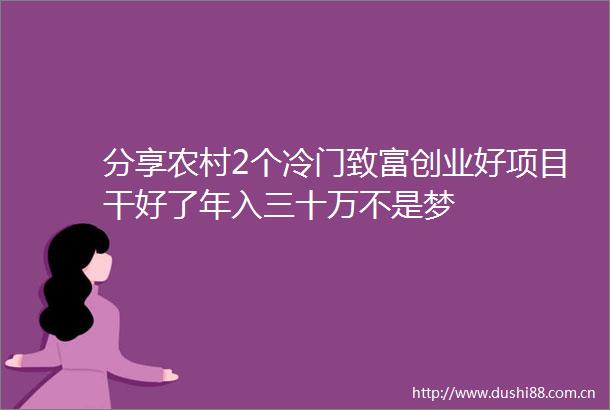 分享农村2个冷门致富创业好项目干好了年入三十万不是梦