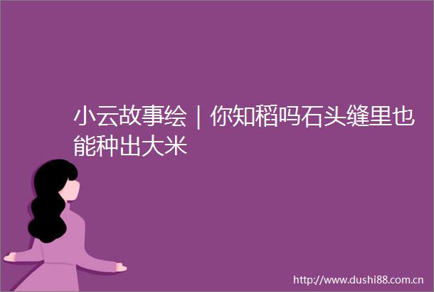 小云故事绘｜你知稻吗石头缝里也能种出大米