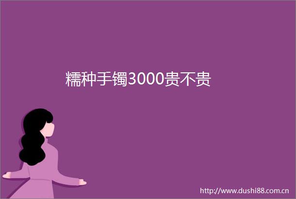 糯种手镯3000贵不贵