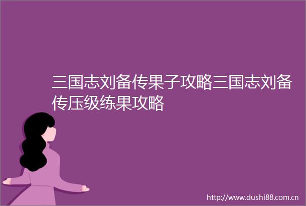 三国志刘备传果子攻略三国志刘备传压级练果攻略