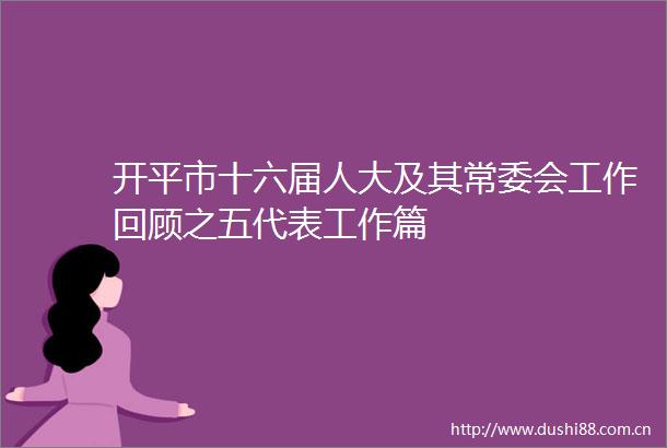 开平市十六届人大及其常委会工作回顾之五代表工作篇