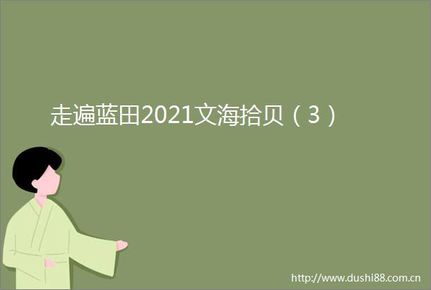 走遍蓝田2021文海拾贝（3）