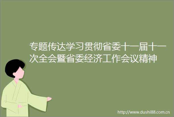 专题传达学习贯彻省委十一届十一次全会暨省委经济工作会议精神