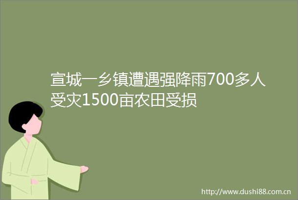 宣城一乡镇遭遇强降雨700多人受灾1500亩农田受损