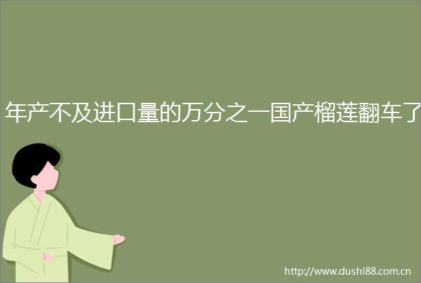 年产不及进口量的万分之一国产榴莲翻车了