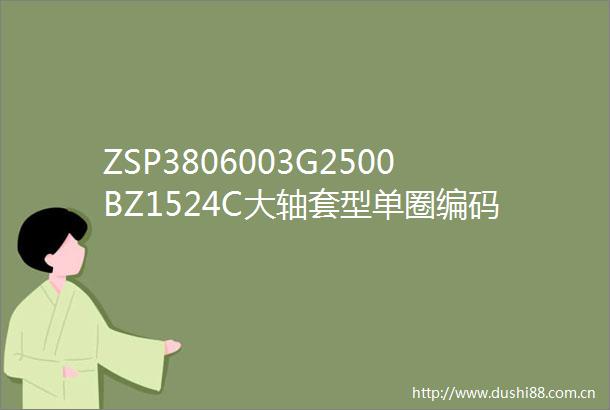 ZSP3806003G2500BZ1524C大轴套型单圈编码器WVD