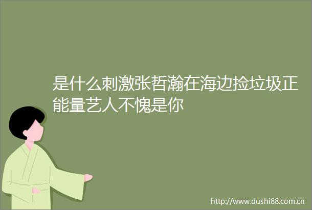是什么刺激张哲瀚在海边捡垃圾正能量艺人不愧是你
