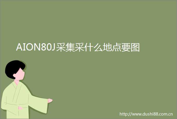 AION80J采集采什么地点要图