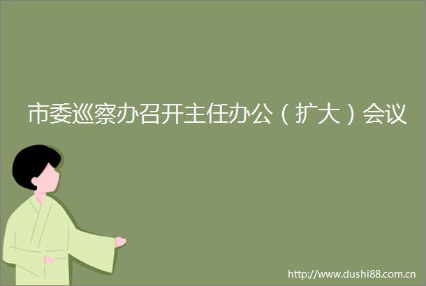 市委巡察办召开主任办公（扩大）会议