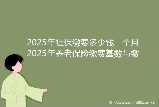 2025年社保缴费多少钱一个月2025年养老保险缴费基数与缴费标准一览0610