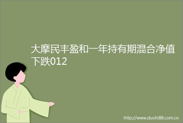大摩民丰盈和一年持有期混合净值下跌012