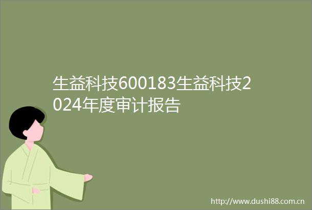 生益科技600183生益科技2024年度审计报告
