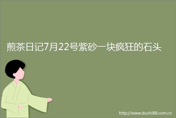 煎茶日记7月22号紫砂一块疯狂的石头