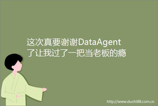 这次真要谢谢DataAgent了让我过了一把当老板的瘾