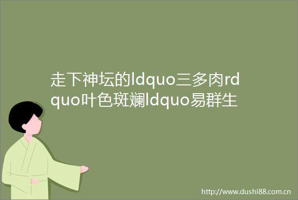 走下神坛的ldquo三多肉rdquo叶色斑斓ldquo易群生rdquo不出状态也很仙