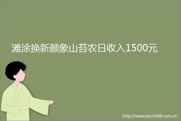 滩涂换新颜象山苔农日收入1500元