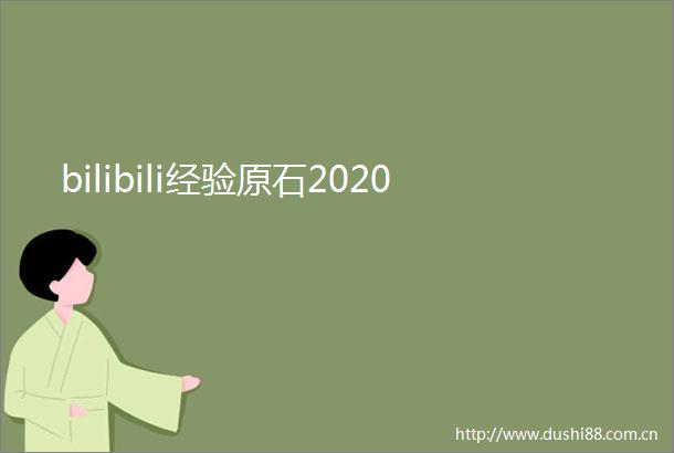 bilibili经验原石2020