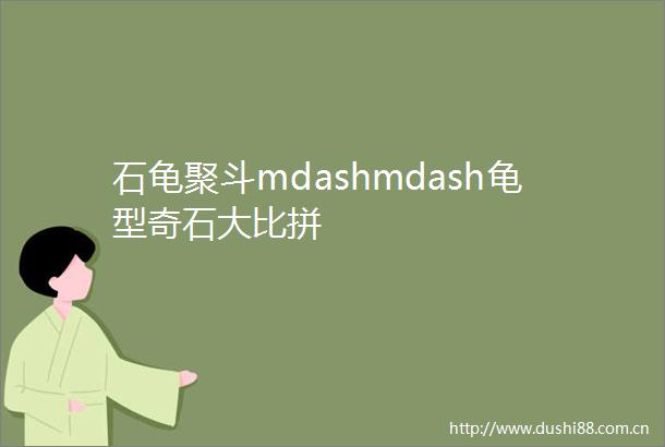 石龟聚斗mdashmdash龟型奇石大比拼